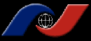 nss logo small